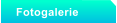 Fotogalerie